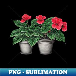 Begonia Flowers - Creative Sublimation PNG Download - Stunning Sublimation Graphics