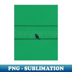 Bird and wires with green background - Premium Sublimation Digital Download - Boost Your Success with this Inspirational PNG Download