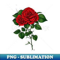 Red Rose on Dark Background - Aesthetic Sublimation Digital File - Capture Imagination with Every Detail