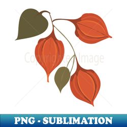 Physalis vintage garden - Special Edition Sublimation PNG File - Stunning Sublimation Graphics