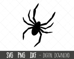 Spider SVG, spider png, spiders svg, black spider svg, spiderman web clipart, spider clipart, spider vector, cricut silh