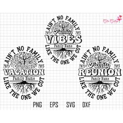 Aint No Family Like The One We Got Bundle Svg, Family Bundle Svg, Family Reunion Svg, Family Vibes 2023 Svg, Summer Vaca