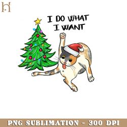 I Do What I Want Funny Cat Christmas PNG Sublimation