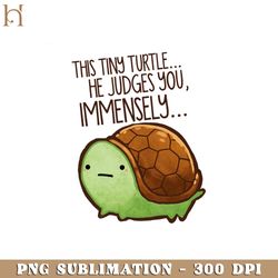 This turtle he judges you  PNG Download