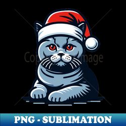 british shorthair cat christmas hat - unique sublimation png download - vibrant and eye-catching typography