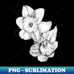 Ink - Daffodil - PNG Sublimation Digital Download - Bring Your Designs to Life