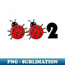 002 - pickleball ladybird edition - PNG Transparent Sublimation File - Enhance Your Apparel with Stunning Detail