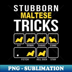 STUBBORN MALTESE TRICKS - Sublimation-Ready PNG File - Perfect for Sublimation Mastery