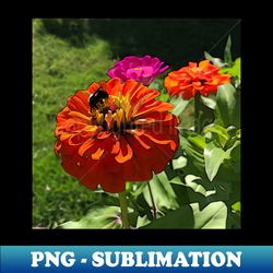 Honeybee 2 - Exclusive Sublimation Digital File - Transform Your Sublimation Creations