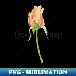 Orange Rosebud watercolor - Modern Sublimation PNG File - Unlock Vibrant Sublimation Designs