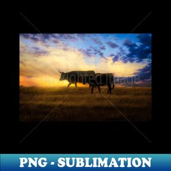 Pair Of Cows At Sunset photograph - Instant PNG Sublimation Download - Revolutionize Your Designs