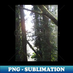 Early Morning Sun Rays 17 - PNG Transparent Digital Download File for Sublimation - Enhance Your Apparel with Stunning Detail