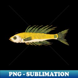 Beautiful Fish - Elegant Sublimation PNG Download - Perfect for Personalization