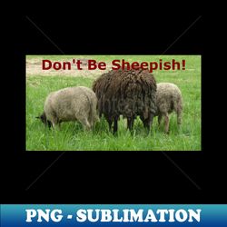 The Backsides of 3 Sheep Dont Be Sheepish - High-Resolution PNG Sublimation File - Boost Your Success with this Inspirational PNG Download