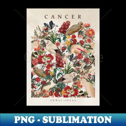 cancer - sublimation-ready png file - defying the norms