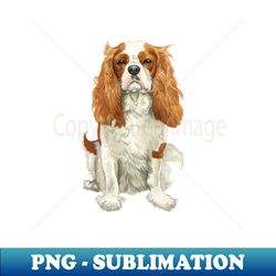 Cavalier King Charles Spaniel - Watercolour Blenheim - Instant PNG Sublimation Download - Stunning Sublimation Graphics
