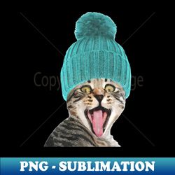 cat with hat illustration - unique sublimation png download - perfect for creative projects