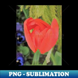 Bright and Blooming - Instant PNG Sublimation Download - Add a Festive Touch to Every Day