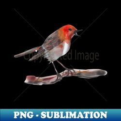 Robin on branch - Aesthetic Sublimation Digital File - Boost Your Success with this Inspirational PNG Download