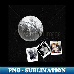 MOON PHOTO CAT REAL - Artistic Sublimation Digital File - Defying the Norms