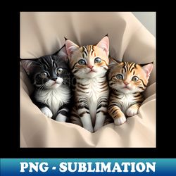 friendly kitten - Digital Sublimation Download File - Unlock Vibrant Sublimation Designs
