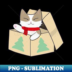 christmas cat gift box - exclusive png sublimation download - bold & eye-catching