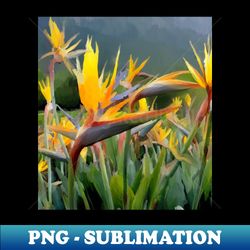 Birds of paradise flowers - Instant PNG Sublimation Download - Vibrant and Eye-Catching Typography