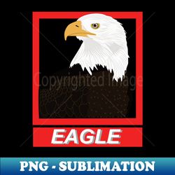 Illustration of a white-headed eagle - PNG Sublimation Digital Download - Capture Imagination with Every Detail