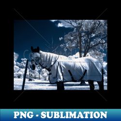 Snow Pony - PNG Sublimation Digital Download - Capture Imagination with Every Detail