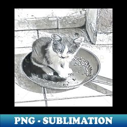 LEAD AND WHITE CAT - Vintage Sublimation PNG Download - Perfect for Creative Projects