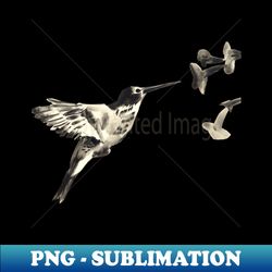 Hummingbird - Vintage Sublimation PNG Download - Unleash Your Creativity