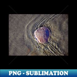 Sand Dollar Ripples - Oregon Coast - Trendy Sublimation Digital Download - Stunning Sublimation Graphics
