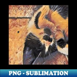 SLEEPING CAT - High-Quality PNG Sublimation Download - Stunning Sublimation Graphics