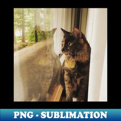 Cat Looking through Reflection - Creative Sublimation PNG Download - Create with Confidence