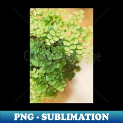 Maidenhair Queen - High-Resolution PNG Sublimation File - Boost Your Success with this Inspirational PNG Download