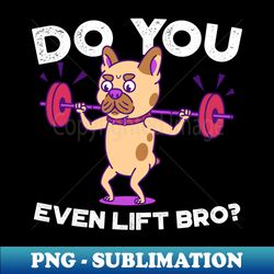 French Bulldog- Do you even lift bro - Unique Sublimation PNG Download - Spice Up Your Sublimation Projects