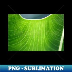 Green veins of life - Signature Sublimation PNG File - Transform Your Sublimation Creations