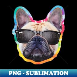DGK Yogi Collection Where Streetwear Meets Skate Culture in Bold Urban Style - PNG Transparent Sublimation File - Unlock Vibrant Sublimation Designs
