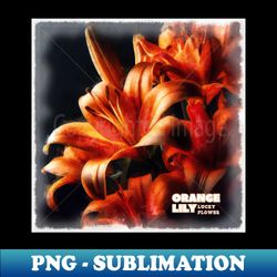 Orange Lily Lucky Flower v8 - Premium PNG Sublimation File - Unleash Your Creativity