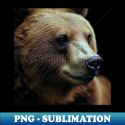 A brown bear in nature that looks cute and cuddly looks warm - Exclusive PNG Sublimation Download - Perfect for Sublimation Mastery