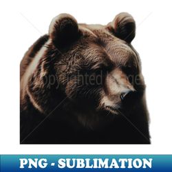 A brown bear in nature that looks cute and cuddly looks warm - PNG Transparent Sublimation File - Boost Your Success with this Inspirational PNG Download