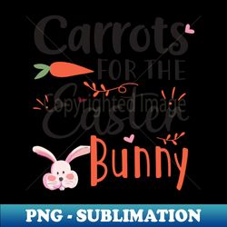 carrots for the easter bunny happy easter gift easter bunny gift easter gift for woman easter gift for kids carrot gift