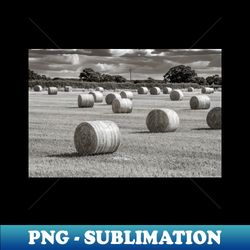 hay barrels in a field - artistic sublimation digital file