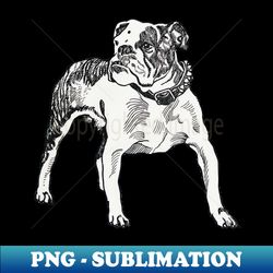 Bulldog - PNG Transparent Digital Download File for Sublimation