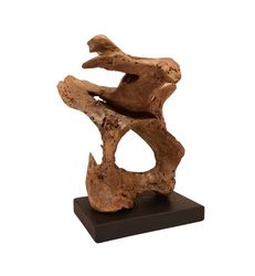 Abstract sculpture made of oak wood. Driftwood. Sculpture for the pedestal. 14.96/9.05/12.99 inc