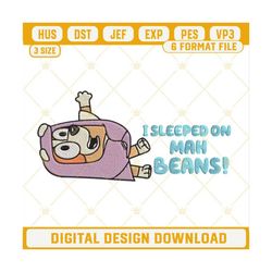 I Slipped On Mah Beans Machine Embroidery Designs, Funny Bluey Teacher Embroidery Pattern Files.jpg