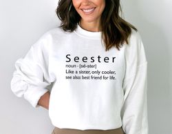 seester noun sweatshirt, seester definition sweatshirt, gift for sister, best sister gift, sister gift, sister sweatshir