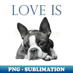 s Love Is Boston Terrier Bostie - Instant PNG Sublimation Download - Fashionable and Fearless