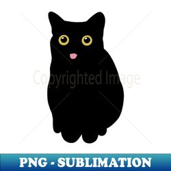 Black Cat Meme - Exclusive Sublimation Digital File - Perfect for Personalization