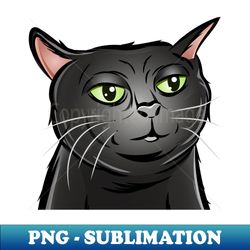 Tiktok Black Cat  Viral Cat  Black Cat Zoning Out  Cat Meme - Aesthetic Sublimation Digital File - Perfect for Personalization
